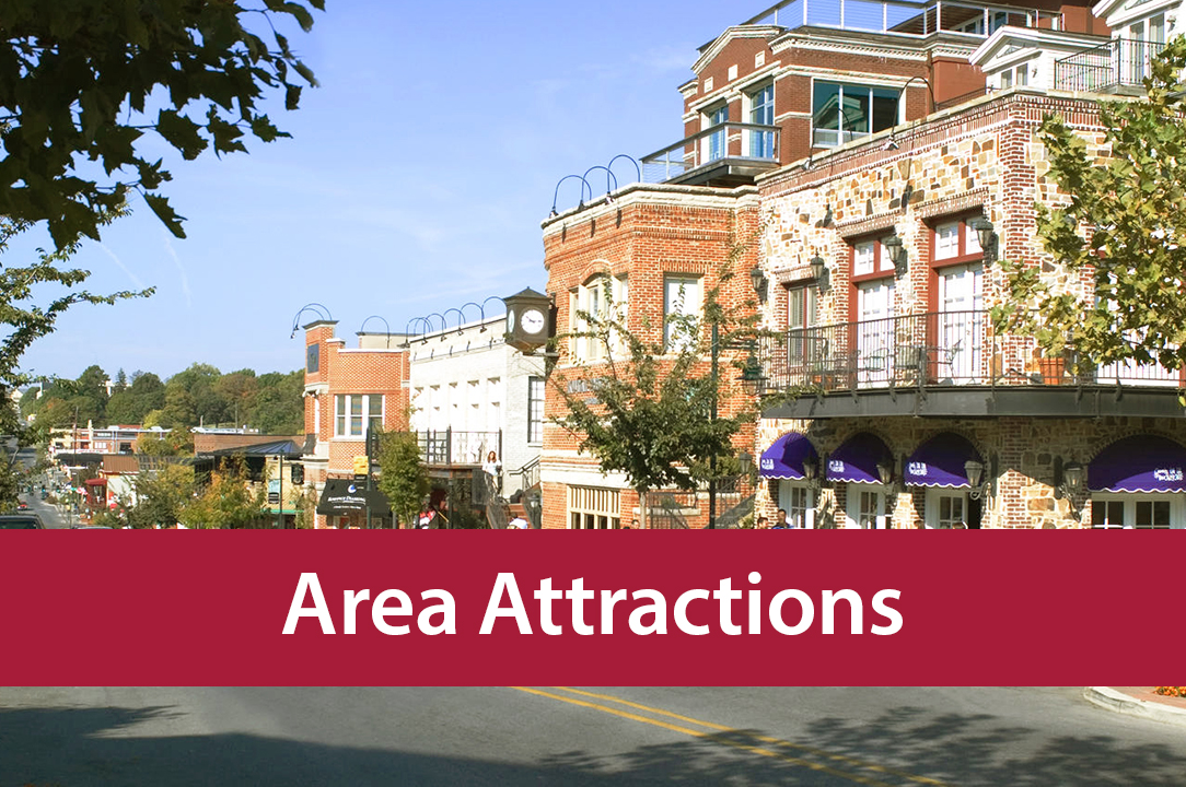 area attractions