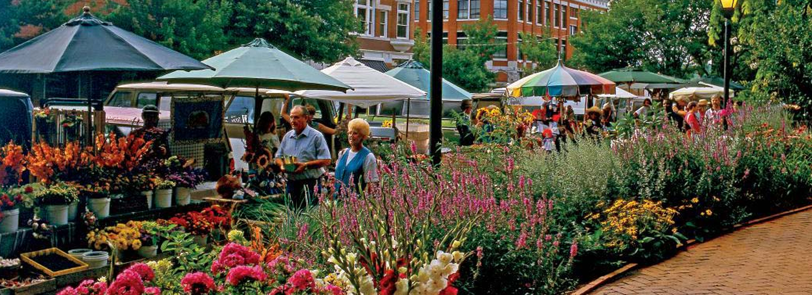 farmers market